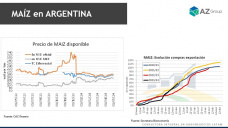 Maíz: El precio del cereal ayudado por la lenta cosecha; con Lorena D´Angelo - Clínica de Granos