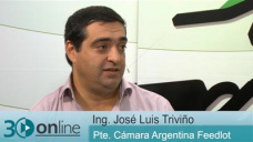 30 online B1: ¿Como se financian los feedlots para lograr 380 a 420 Kg / cab.?; con J. L. Triviño