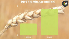 Trigo: mejoran las perspectivas climáticas locales, y al mismo ritmo la comercialización, con Paulina Lescano - Clínica de Granos