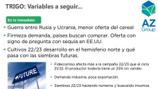 Trigo: 