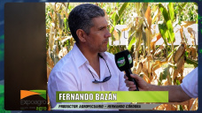 Ni UPOV 91, ni no pagar regalías, vamos por 