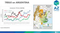 El trigo con muy buenos precios pero con preocupación, con Lorena D´Angelo - Clínica de Granos