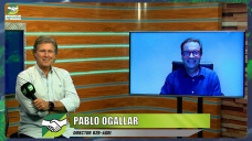 Cómo navegan las empresas del agro en post Niña y con alta brecha cambiaria; con Pablo Ogallar - consultor