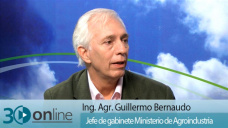 30 online B5: ¿Por qué el Ministerio de Agroindustria no va más rápido?; con G. Bernaudo - Jefe de Gab.