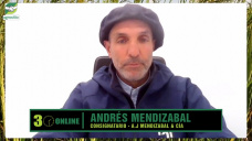 Antes vendiendo una Vaca te comprabas 1 par de zapatos, ahora compras 5; con Andrés Mendizabal - consignatario
