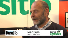 TV: ¿Podemos exportar 1 Mill Tn de Carne más allá de China con aumento de precios?; con Miguel Gorelik