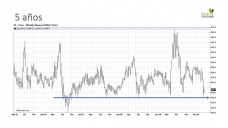 Maíz: atención, atención a cada día de oportunidad que aparezca, con Paulina Lescano - Clínica de Granos