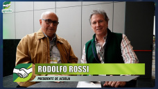 Soja 25/26 y la nueva ecuación: de la caída del área al 