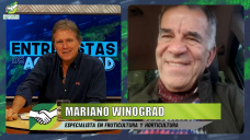 Oportunidades en Fruticultura para emprendedores en la era post K; con Mariano Winograd - agrónomo