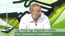 TV: Escapes de Rama negra, ¿tema agotado o retorno no esperado?; con A. Golfari - Chemotécnica