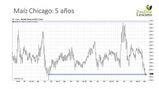 Maíz: complicado el mercado, en su momento el etanol impulsaba los precios hacia arriba.. y ahora los empuja para abajo, con Paulina Lescano - Clínica de Granos