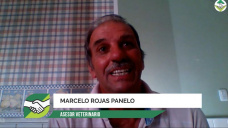 ¿Se puede llegar al 90,5% de DESTETE a partir de una buena Nutrición?; con M. Rojas Panelo