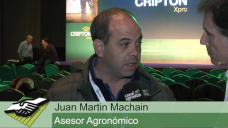 TV: ¿Cómo les está yendo a los productores y a los cultivos de fina en  sur?; con Juan Martín Machain