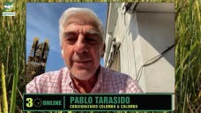 ¿Será buen negocio comprar Hacienda ahora, y cargarle Kgs?; con Pablo Tarasido - consignatario