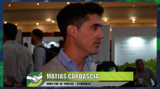 El mapa de la Chicharrita y la fórmula para sembrar Maíz de alto rinde; con Matías Cardascia - Syngenta 