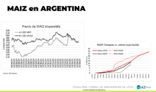 Maíz: Esperamos el 30/6 en Argentina y EE.UU.; con Lorena D´Angelo - Clínica de Granos