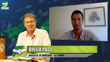 Un año para vender Granos 