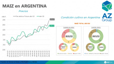 Maíz: La posición abril de la nueva campaña en sus máximos, con Sofia Ganly - Clínica de Granos