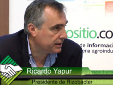 TV: ¿Cómo será en esta campaña el área de soja y la aplicación de tecnología?; con Ing. R. Yapur - Rizobacter