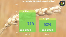 Trigo: Chicago vuelve a perder terreno, mientras que localmente poquito a poco, va haciendo lo mismo, con Paulina Lescano - Clínica de Granos
