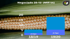 Maíz: poco movimiento en los mercados, mucho movimiento en los pronósticos de lluvias, con P. Lescano - Clínica de Granos