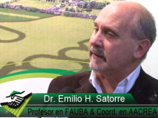 TV: ¿Cuál es el mejor momento para sembrar Maíz esta campaña?; con Dr. Emilio Satorre - CREA