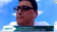 Campo de 200 Has en Rep. Dominicana totalmente tecnificado con AgTechs y bioproductos; con Alex Bernaola