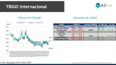 Trigo: ¿mejores precios en post cosecha?; con Catalina Ferrari - Clínica de Granos