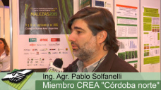 TV: ¿Como están negociando alquileres e insumos los productores?; con P. Solfanelli 