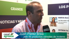 TV: ¿Cómo se presenta el panorama sanitario en Trigo y Cebada y como estar preparados?; con J. Perez Brea - BASF