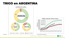 Trigo: buenos cultivos presionan los precios futuros; con Lorena D´Angelo - Clínica de Granos