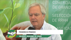 Hasta el Pres. de los Senadores habla del Boom Agropecuario; con Federico Pinedo - Pres. Cám. Senadores