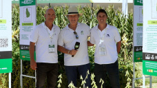 DONMARIO con todo lo nuevo en Maíz, Soja y Trigo apostando a la genética como motor