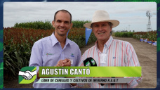Lo que viene en cultivares de Cebada cervecera, Arveja verde y amarilla; con Agustín Cantó - agrónomo