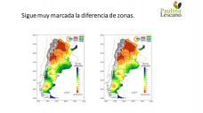Trigo: esperando desesperadamente las lluvias, con Paulina Lescano - Clínica de Granos