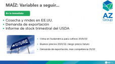 Maíz: La cosecha en EE.UU. limita los mejores precios, con Lorena D´Angelo - Clínica de Granos