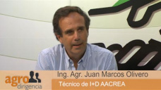 AgroDirig.TV B1: ¿Como manejar la empresa agropecuaria y no morir en el intento?; con J. M. Olivero - CREA