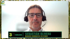 ¿Menos o más Soja, Maíz, Girasol?, y la decisión de sembrar con el 