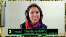 ¿Qué tan intenso y como impactará en lluvias El Niño?; con Natalia Gattinoni - INTA Castelar