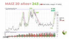 Maíz: perdiendo terreno desde los máximos de mayo, 44 usd/tn en Chicago y muy cerca en el mercado local, en ambos casos para las posiciones mas cercanas, con Paulina Lescano - Clínica de Granos