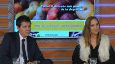 ¿Cómo funcionan los créditos para Pymes del campo con nuevos proyectos?; con V. Massa y J. Comba 