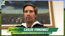 Se viene la Expo ANGUS de Primavera con juras, remates y el valor del 