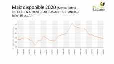 Maíz: en Chicago el corto plazo sigue siendo preocupante para los precios, con Paulina Lescano - Clínica de Granos