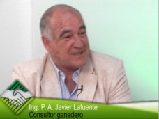 30 online: ¿Qué pasará con los precios de cría e invernada  tras la baja