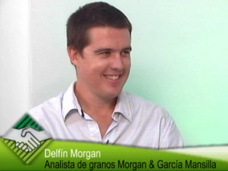 30 online: ¿Qué hacer con el trigo y cómo manejar la soja?; con Delfín Morgan - MGM