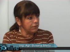 30 online: ¿Qué va a pasar con los mercados y el campo después de las elecciones?; con Susana Merlo
