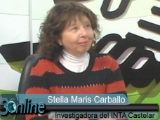 30 online: ¿Está confirmado que este año será realmente Niño?; con Stella Maris Carballo - INTA