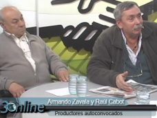 30 online: “Los Autoconvocados vamos camino a la institucionalización para marcar la cancha”, A. Zavala y R. Cabot