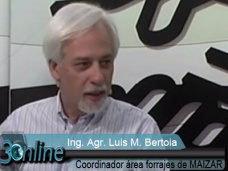 30 online: ¿Podemos superar los 50.000 kg / ha de materia verde de Silo?; con Ing. L. Bertoia - Maizar 