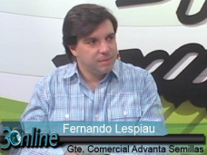 30 online: ¿Qué hay de nuevo en Girasol y Sorgo?; con F. Lespiau - Advanta